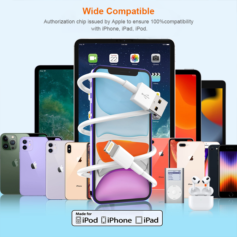Câble iPhone USB-Lightning D1