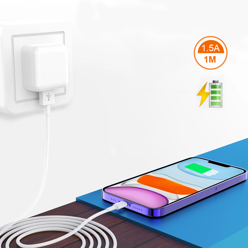 Câble iPhone USB-Lightning D1