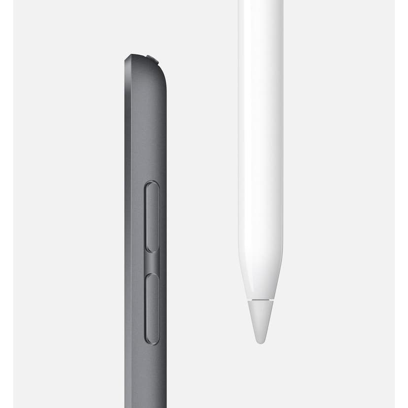 iPad mini (2019) 5th generation-WiFi Refurbished - Excellent