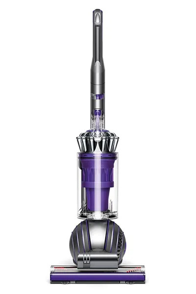 Dyson Ball Animal 2 